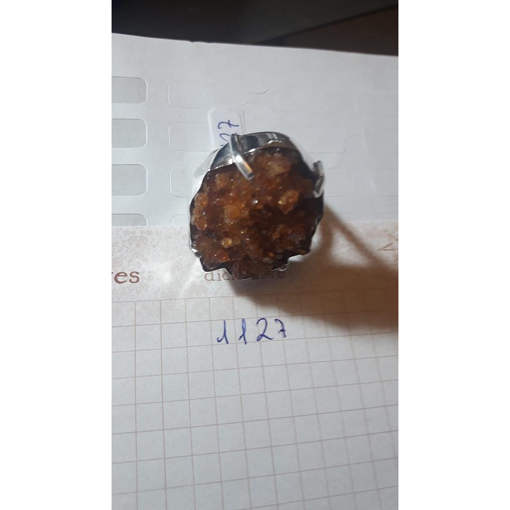 Anillo Pied. Nat. Sal  1127