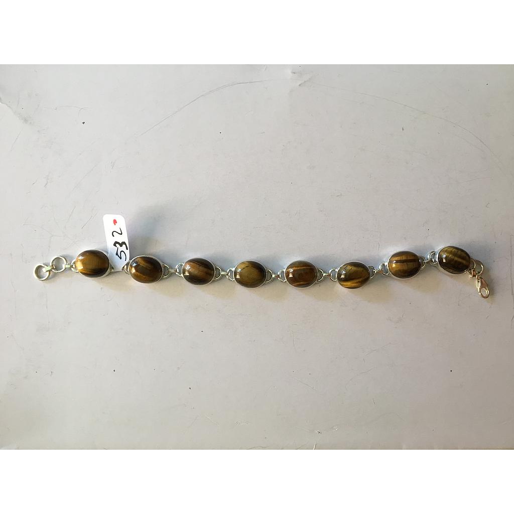 Puls. Pied. Nat. Ojo Tigre 532