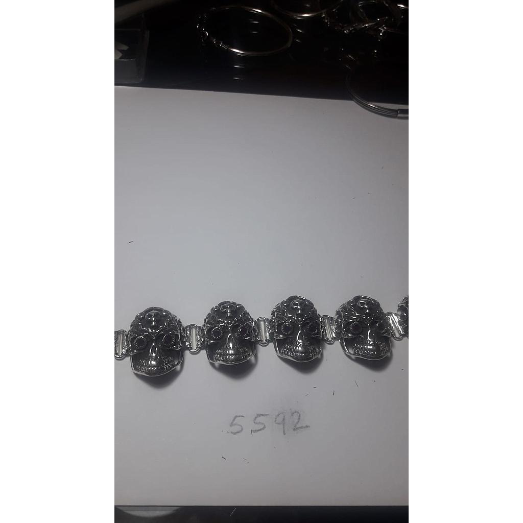 Puls. Plata Cabeza Caravelas Seguidas 5592