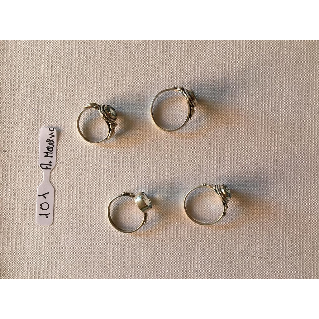 Anillo Pied. Nat. Agua Marina 101