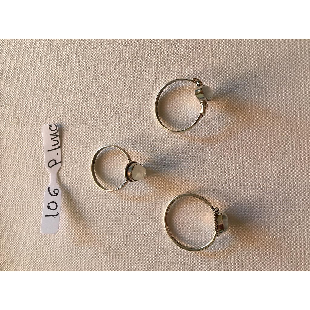 Anillo Pied. Nat. Piedra Luna 106
