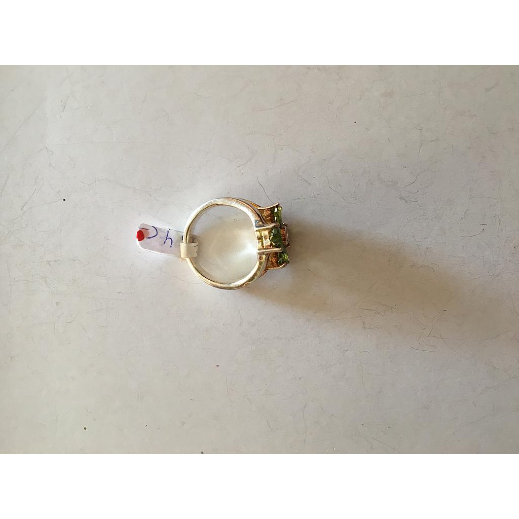 Anillo Pied. Nat. Out. Trebol 4  123