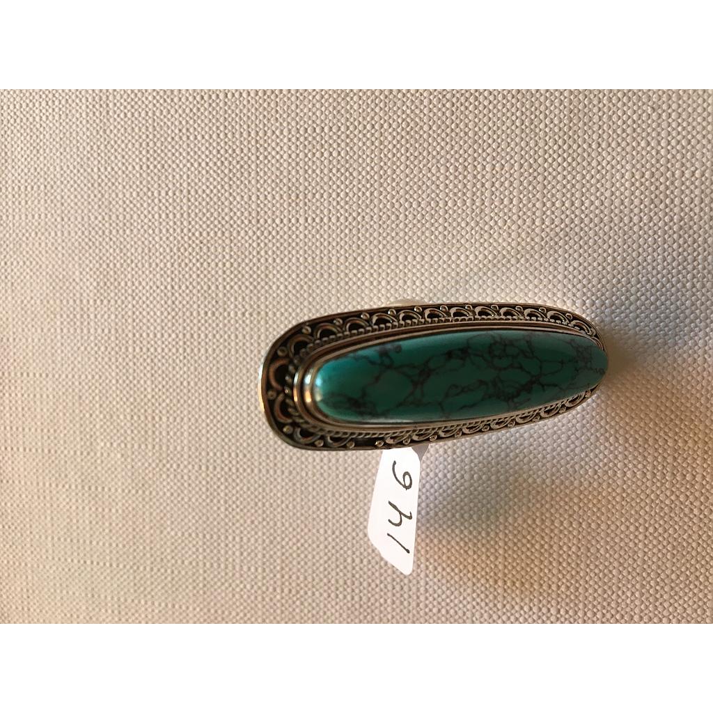 Anillo Pied. Nat. Grande Varias 146