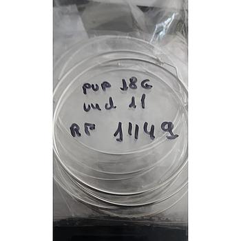 Pend. Plata Lisa Aros 1449