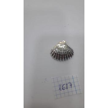 Colgante Plata Electrof. Almeja 1617
